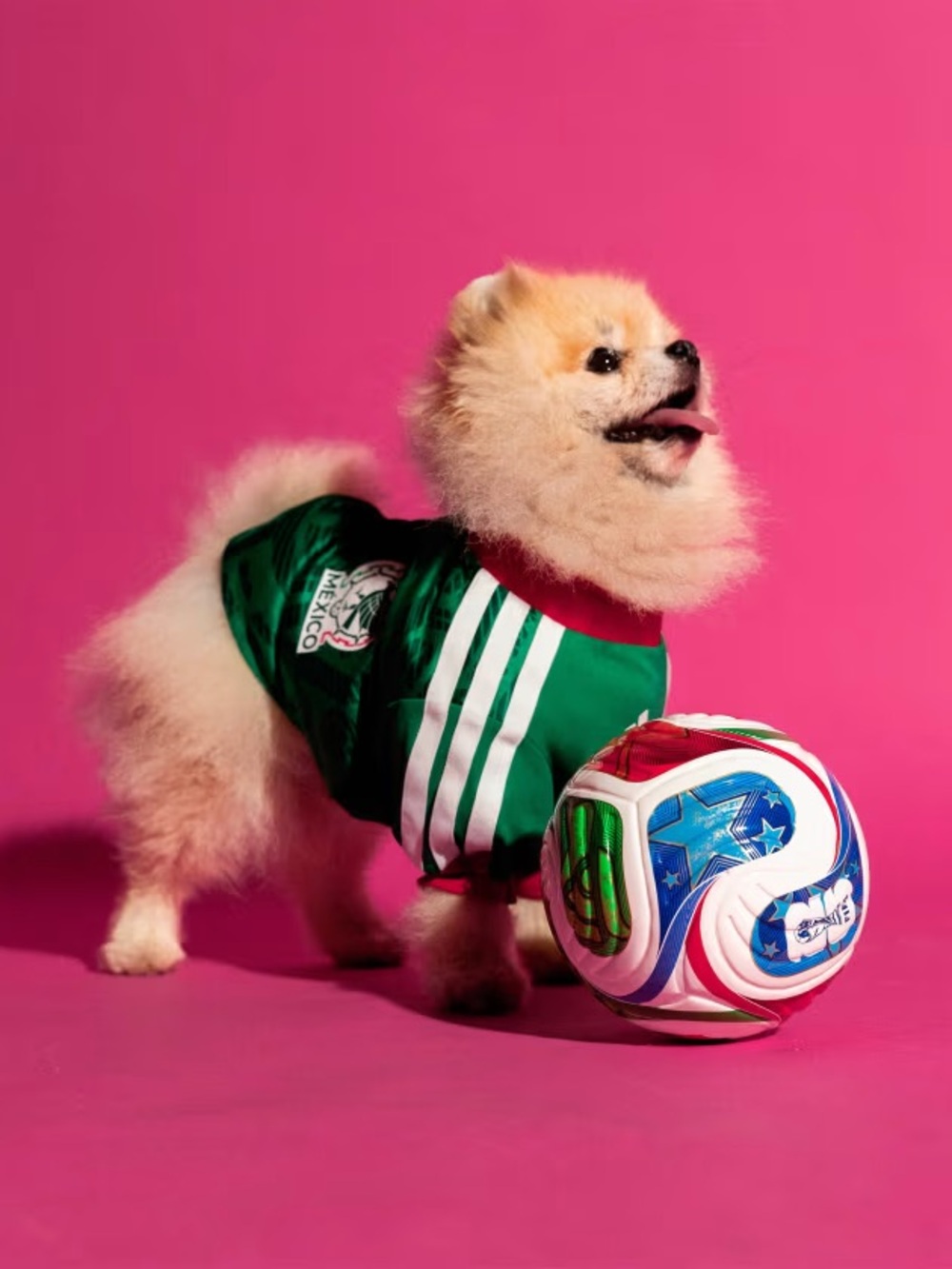 adidas PET JERSEY 26 MEXICO
